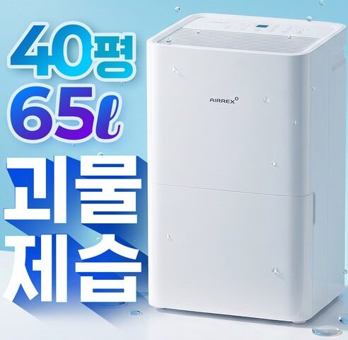 예산 절약 제습기 추천, 곰팡이 걱정 없이 청결하게 관리하는 법